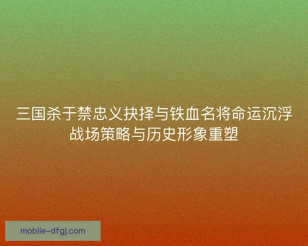 三国杀于禁忠义抉择与铁血名将命运沉浮战场策略与历史形象重塑